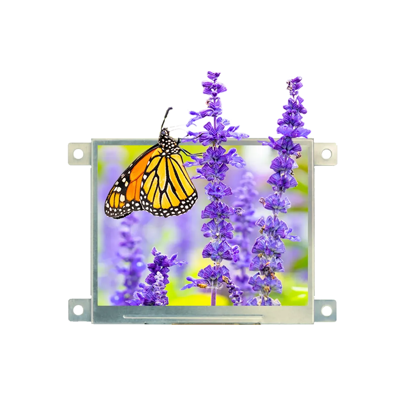 Display Glass Rvt RVT35HHTFWN00 - Riverdi 3,5-Zoll-Display mit hoher Helligkeit ...